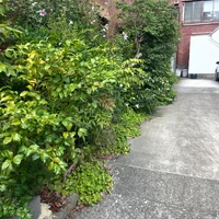 画像347